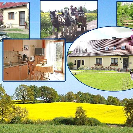 Ferienhof Winther 1 Lutzow Luaran gambar
